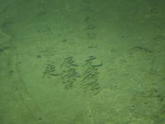 -白鹤梁水下博物馆