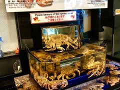 -蟹道乐(道顿堀本店)