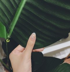 -Mei酱の店美甲美睫