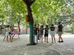 -勇士之星真人CS·团建·拓展(清水河公园店)