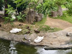 -常州淹城野生动物世界
