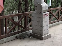 -四门塔风景区
