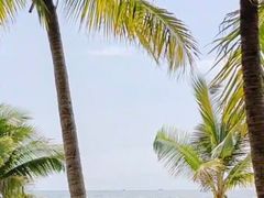 -亚龙湾中心广场