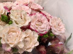 -双季花艺园艺市场(浦东店)