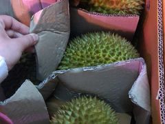 -海吉星国际农产品物流管理有限公司