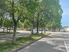 -安飞驰驾校·学车连锁(金高店)