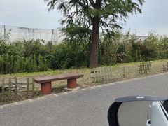 -广富林郊野公园