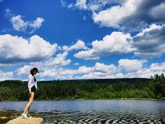 -五营红松林海景区