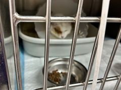 -达爱动物医院·犬猫分区·CT·复杂眼科(远洋山水分院)