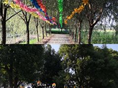-长兴太湖图影湿地文化园
