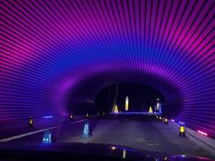 -枫花园汽车电影院(朝阳公园店)