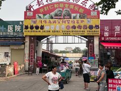 -开封杨丰宠物乐园