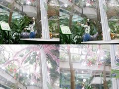 -正佳雨林生态植物园
