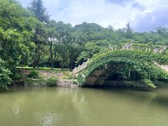 -梅园