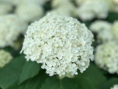 -北京动物园-畅观楼