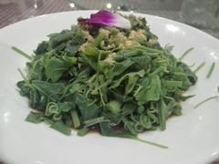 -朝郡酒家·粤菜(燕大星苑店)