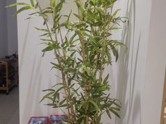 -领展中心城