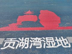 -贡湖湾湿地公园