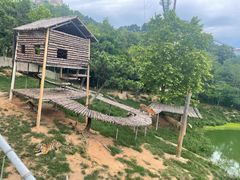 -西霞口神雕山野生动物世界