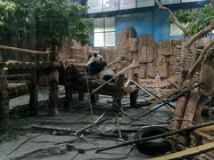 -泉州海丝野生动物世界