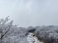 -安吉龙王山风景区