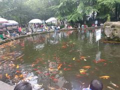 -温江公园