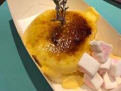 -狐狸和向日葵(北京路店)