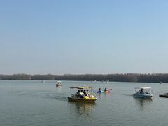 -上海海湾国家森林公园