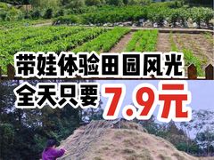 -前小桔亲子创意农场·草莓采摘·露营烧烤