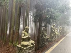 -武陵山森林公园