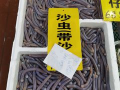 -寻味顺德·南记酒家·传统顺德菜·鱼生(广源路店)