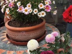 -泉乐坊步行街(烟酒特产平价超市店)