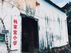 -杨家堂村