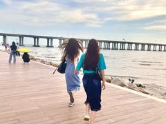 -宝安西湾红树林湿地公园