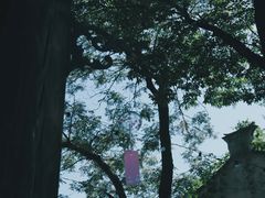 -田园东方蜜桃村的田野营地