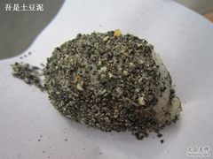 叶氏麻糍&nbsp;-叶氏麻糍(鼓浪屿店)