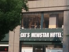 -CAT’S MEWSTAR CAFE·喵星球猫屋(晴湾咖啡店)