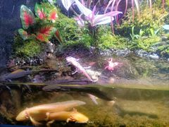 -多彩贵州城极地海洋世界