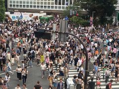 -涩谷区