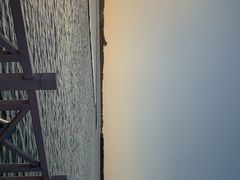-金沙湖旅游度假区