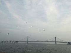-星海湾跨海大桥
