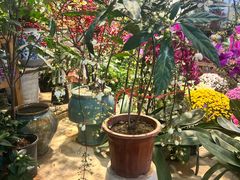 -双季花艺园艺市场(浦东店)