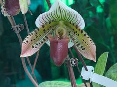 -石家庄市植物园