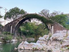 -鹿亭中村