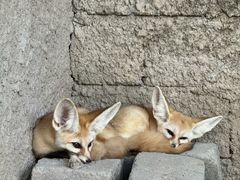 -乌布德传统市场