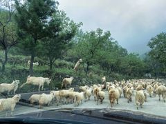 -白草畔自然风景区