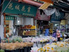 -循礼门鲜花花市(武汉循礼门店)