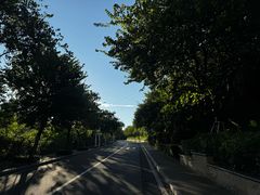 -小南山公园