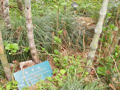 -杭州黄龙洞