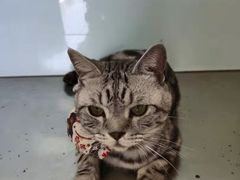 -中农大我爱我爱动物医院·核磁CT·猫病·24小时夜诊中心(石佛营店)